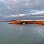 Topart Ii 발라톤페니베스