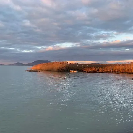 Topart Ii Balatonfenyves