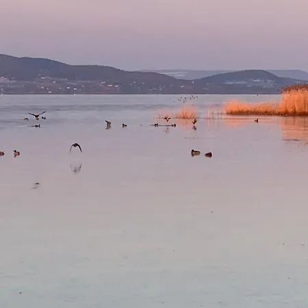 Topart Ii Apartmán Balatonfenyves